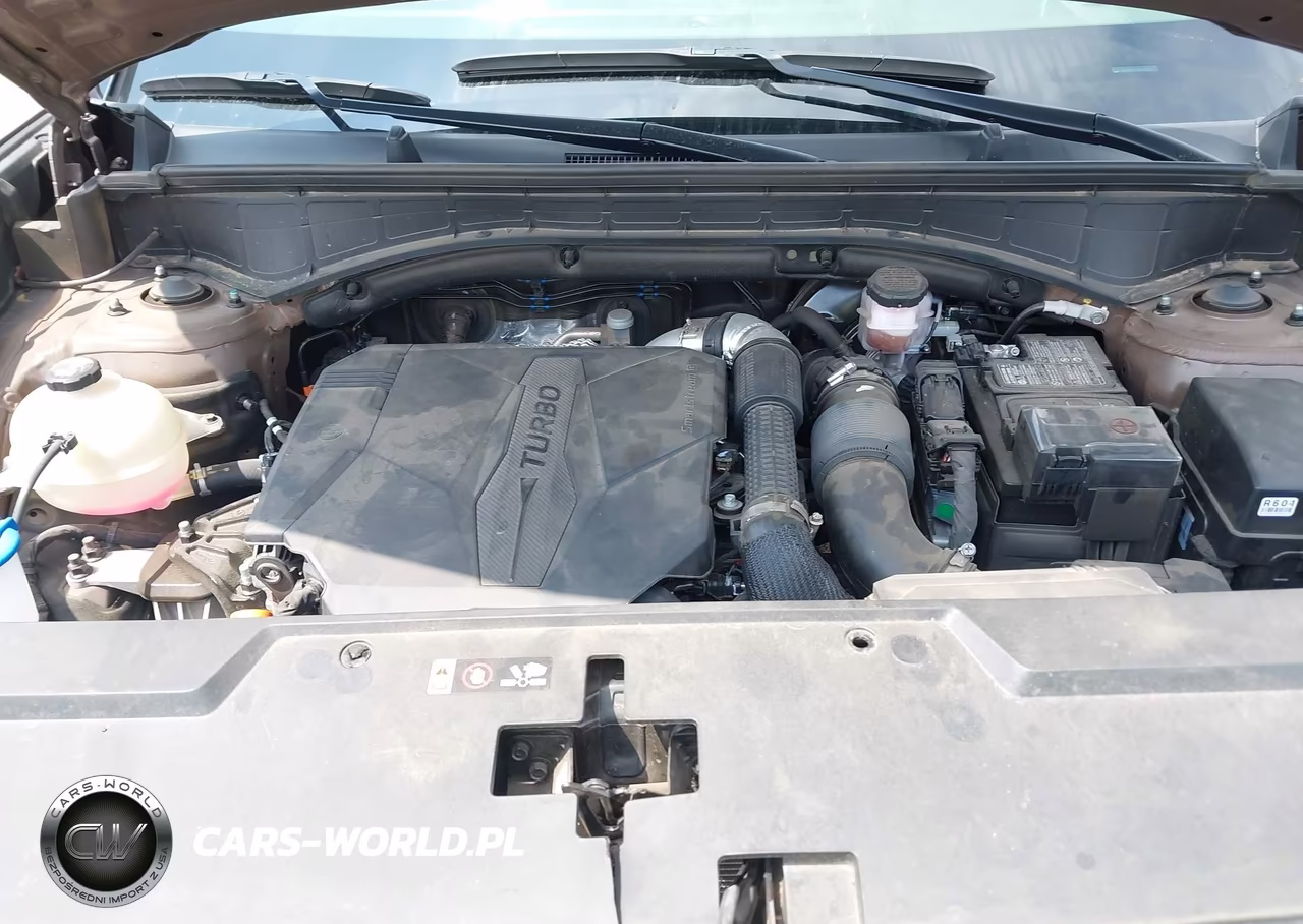 2024 Hyundai Santa Fe Calligraphy VIN:5NMP54GL0RH024612 - 10