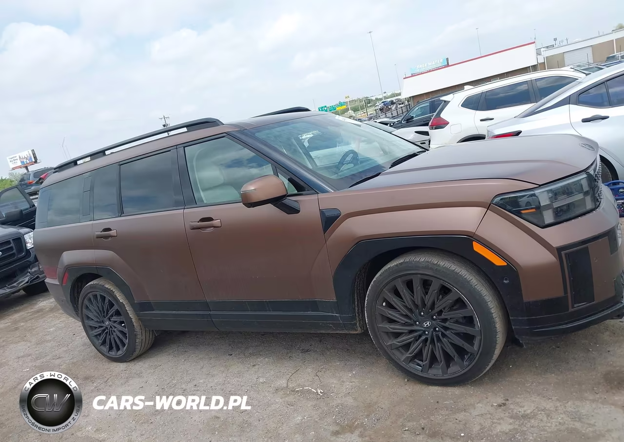 2024 Hyundai Santa Fe Calligraphy VIN:5NMP54GL0RH024612 - 13