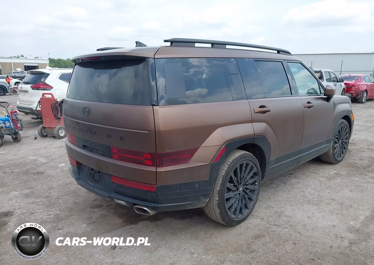 2024 Hyundai Santa Fe Calligraphy VIN:5NMP54GL0RH024612 - 4