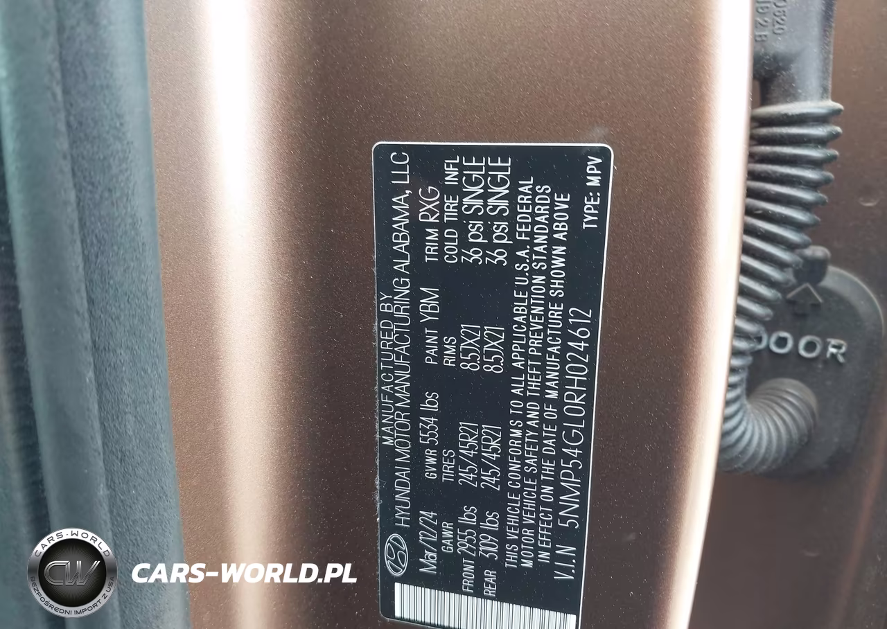 2024 Hyundai Santa Fe Calligraphy VIN:5NMP54GL0RH024612 - 9