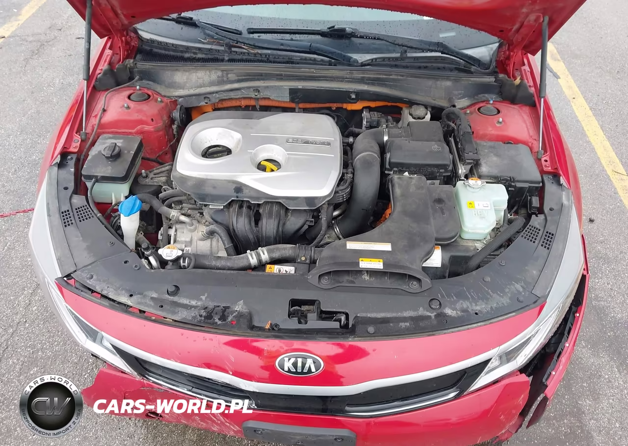 2017 Kia Optima Hybrid Ex VIN:KNAGU4LE5H5012092 - 10