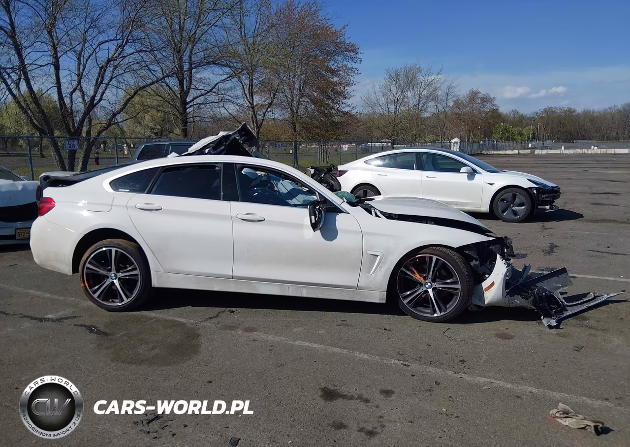 2018 BMW 430I Gran Coupe xDrive VIN:WBA4J3C57JBG95560 - 12
