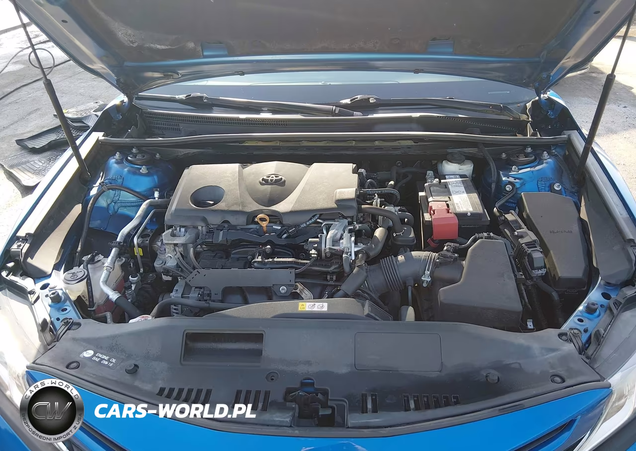 2019 Toyota Camry Se VIN:4T1B11HK6KU212085 - 10