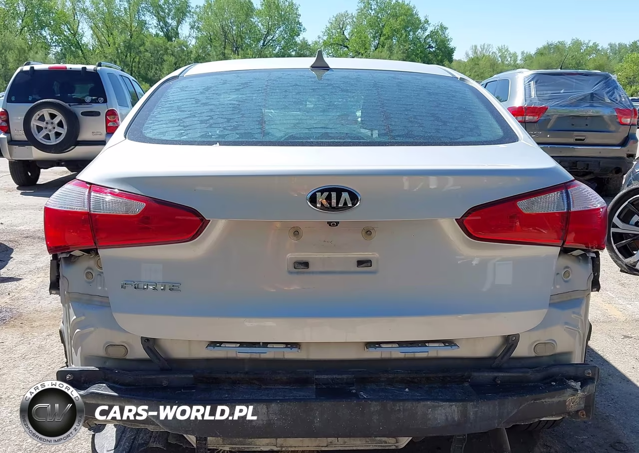2016 Kia Forte Lx VIN:KNAFX4A62G5552058 - 17
