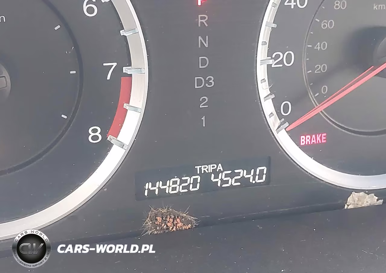 2010 Honda Accord 2.4 Ex VIN:1HGCP2F76AA185211 - 15