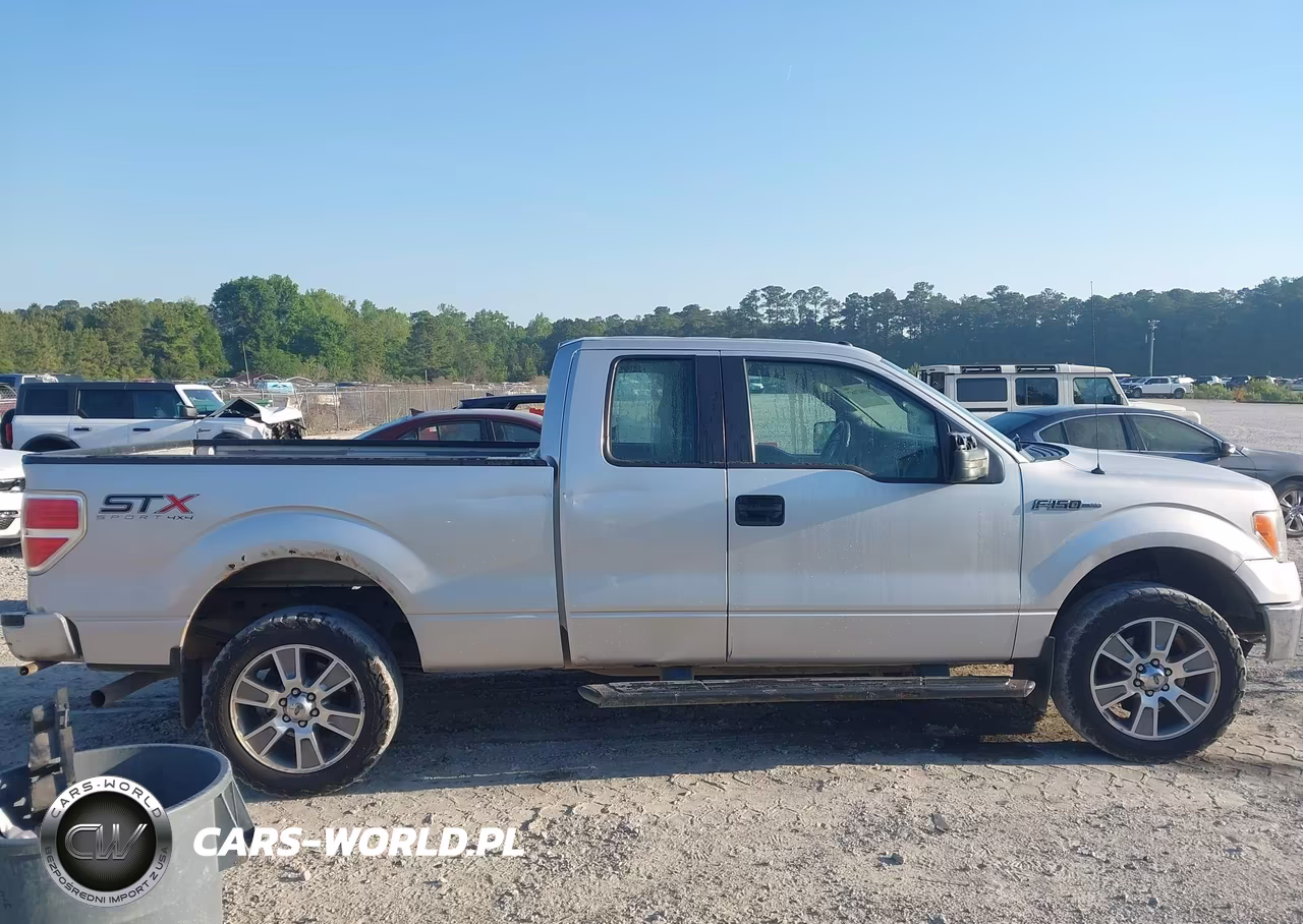 2014 Ford F-150 Stx VIN:1FTFX1EF8EKE55019 - 13