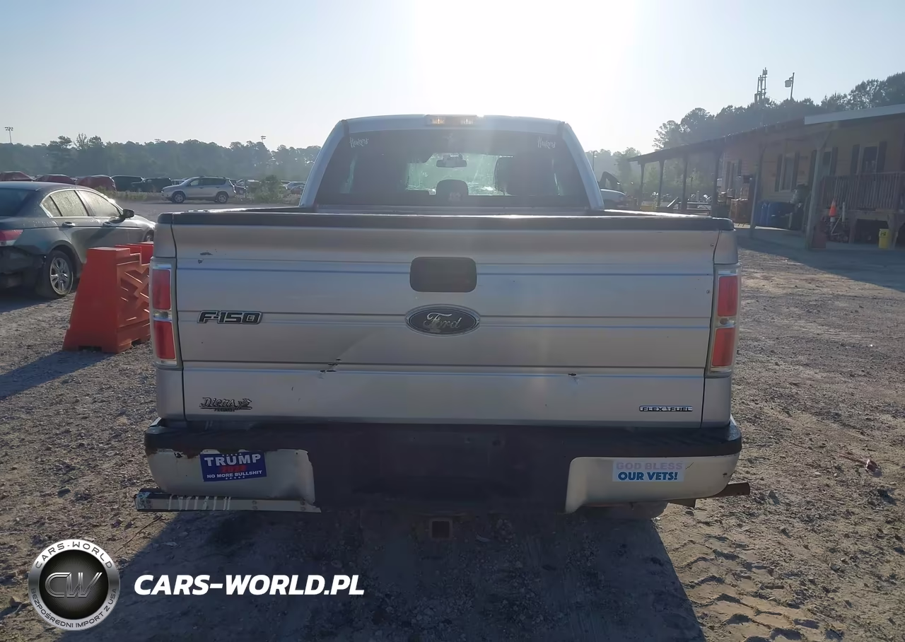2014 Ford F-150 Stx VIN:1FTFX1EF8EKE55019 - 16