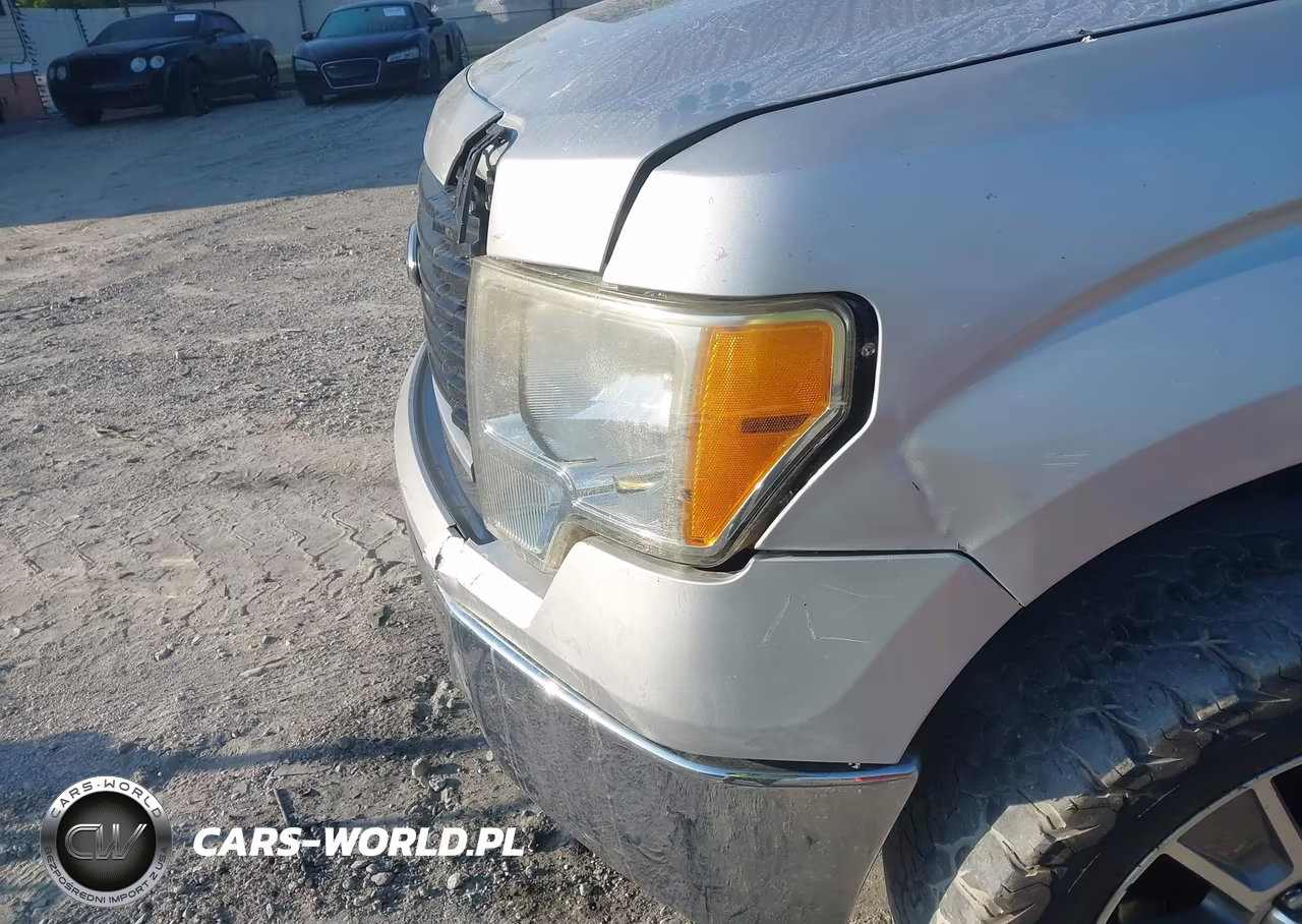 2014 Ford F-150 Stx VIN:1FTFX1EF8EKE55019 - 17