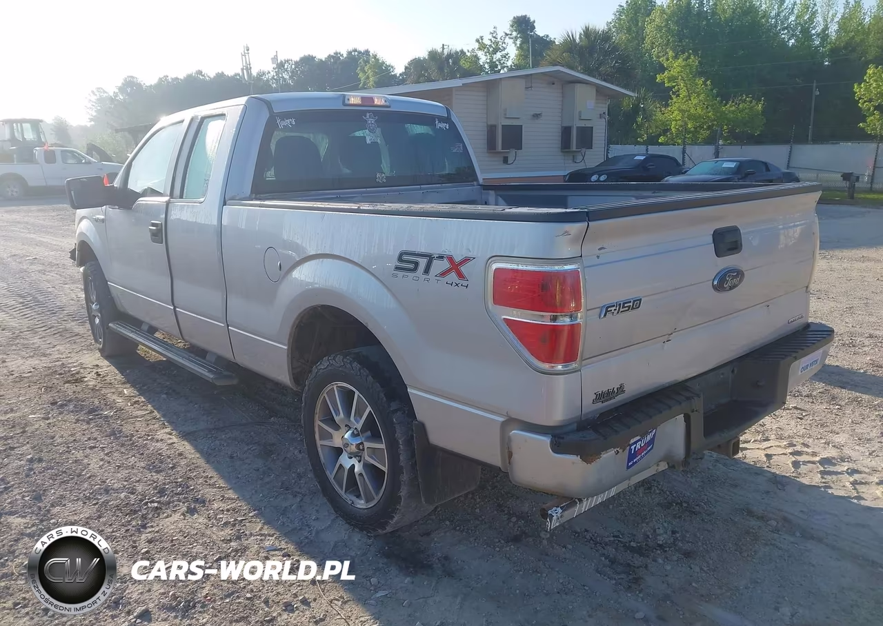 2014 Ford F-150 Stx VIN:1FTFX1EF8EKE55019 - 3