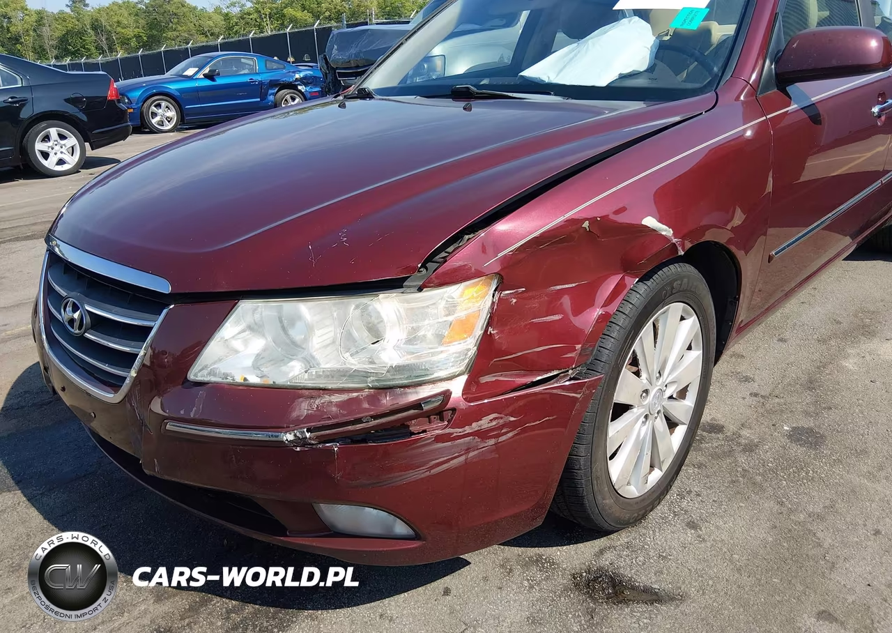2010 Hyundai Sonata Limited V6 VIN:5NPEU4AF1AH615813 - 6