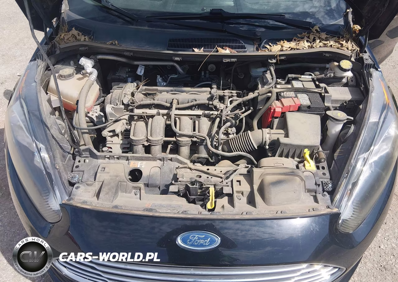 2019 Ford Fiesta Se VIN:3FADP4EJ7KM163451 - 10