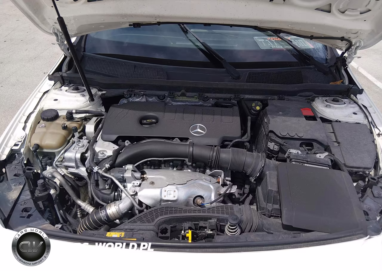 2019 Mercedes-Benz A 220 VIN:WDD3G4EB0KW024329 - 10