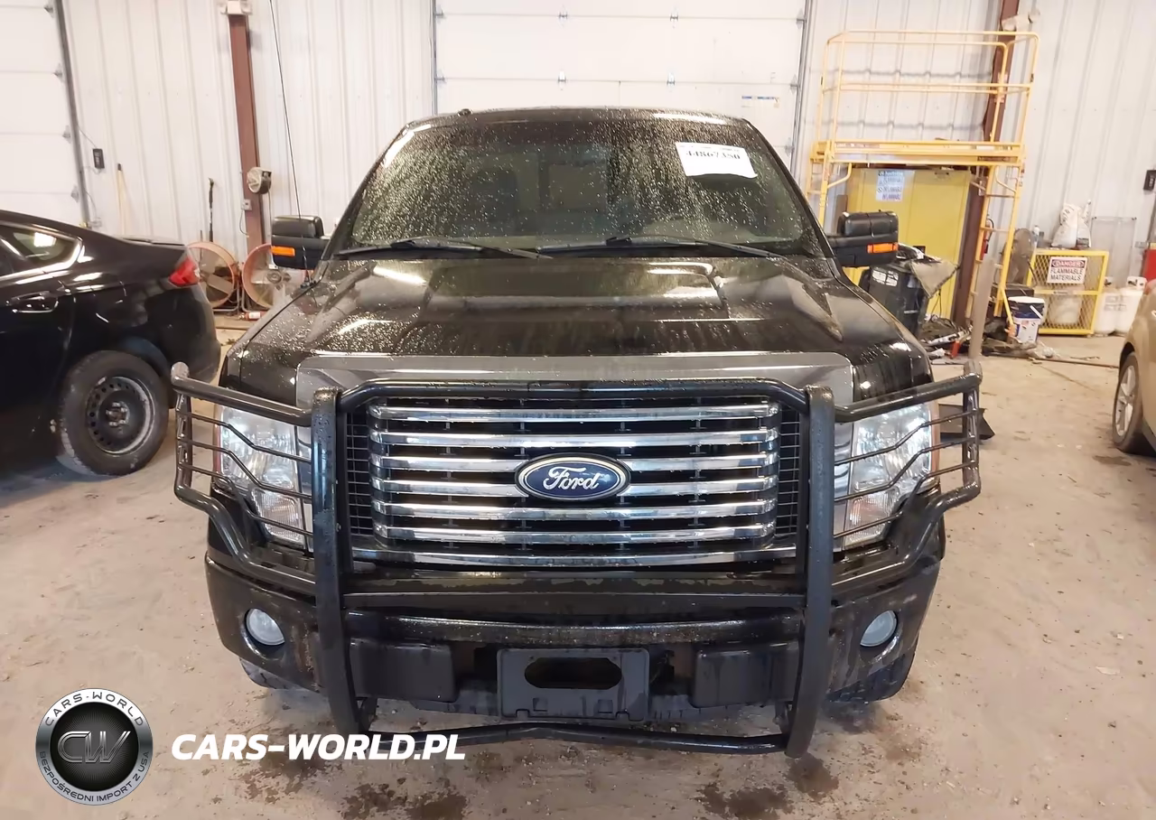 2010 Ford F-150 Stx-Xl-Xlt VIN:1FTEX1E85AFA33886 - 12