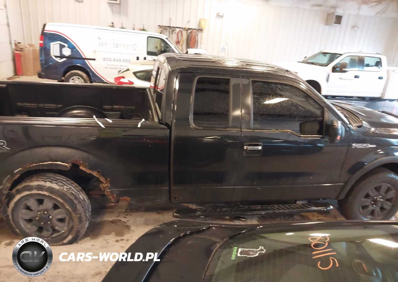 2010 Ford F-150 Stx-Xl-Xlt VIN:1FTEX1E85AFA33886 - 13