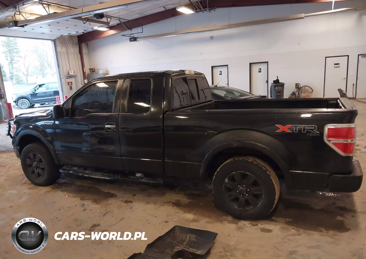 2010 Ford F-150 Stx-Xl-Xlt VIN:1FTEX1E85AFA33886 - 14