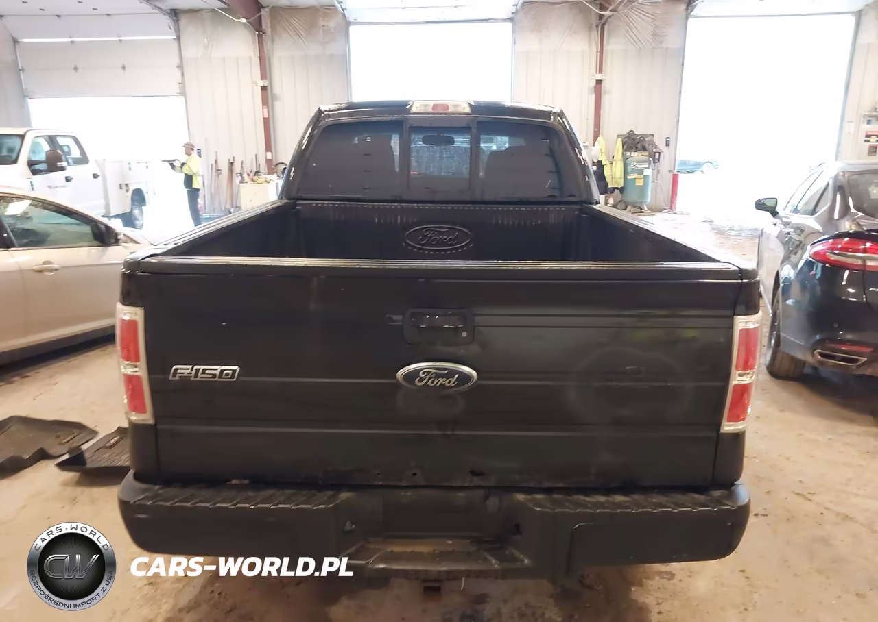 2010 Ford F-150 Stx-Xl-Xlt VIN:1FTEX1E85AFA33886 - 16
