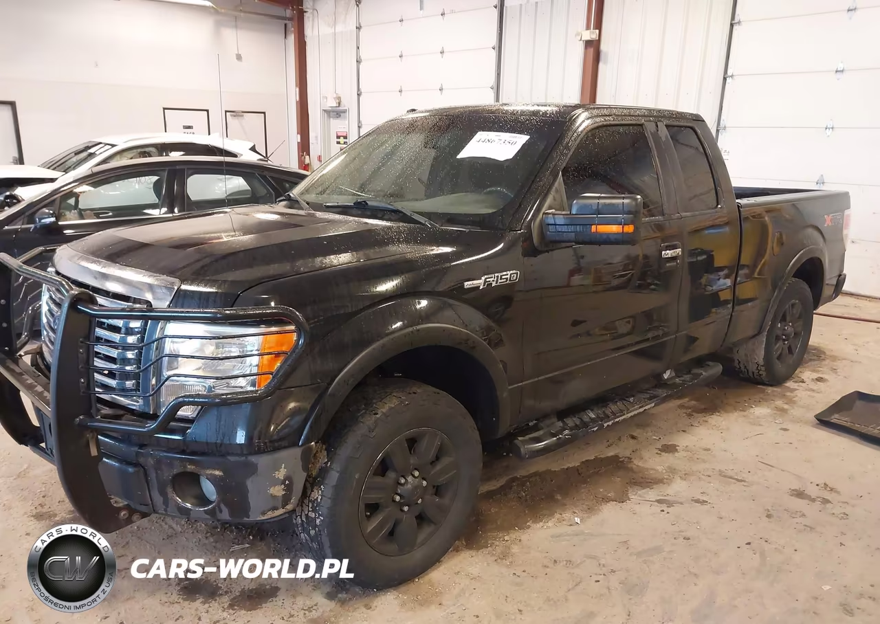 2010 Ford F-150 Stx-Xl-Xlt VIN:1FTEX1E85AFA33886 - 2