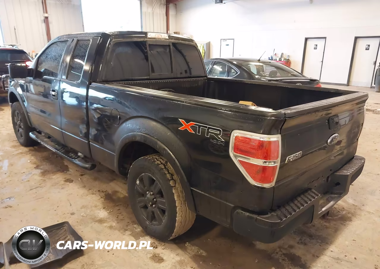 2010 Ford F-150 Stx-Xl-Xlt VIN:1FTEX1E85AFA33886 - 3