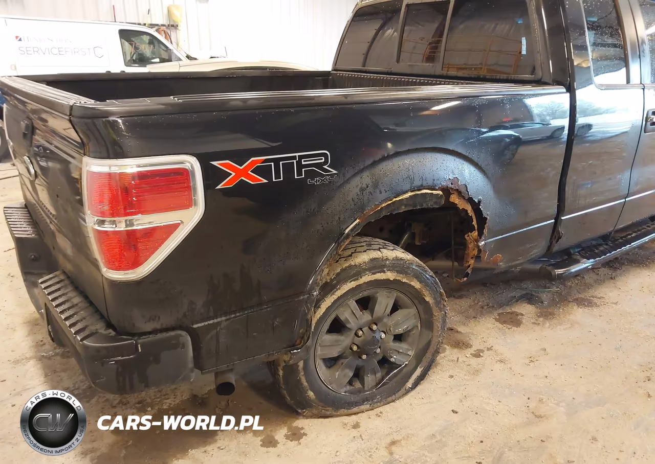 2010 Ford F-150 Stx-Xl-Xlt VIN:1FTEX1E85AFA33886 - 6