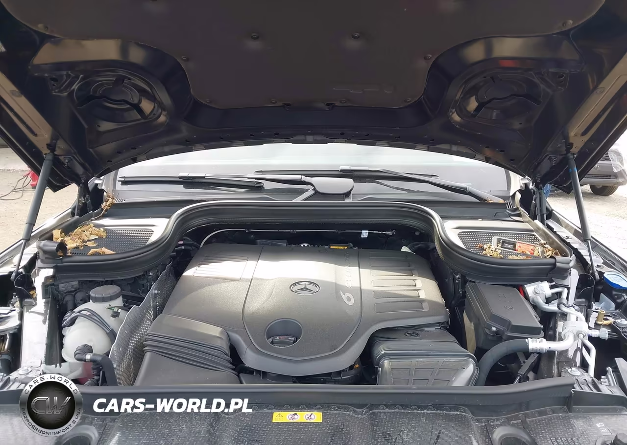 2025 Mercedes-Benz Gls 450 4Matic VIN:4JGFF5KEXSB491002 - 10