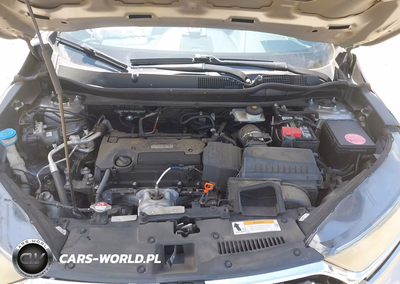 2017 Honda Cr-V Lx VIN:7FARW5H30HE006299 - 10