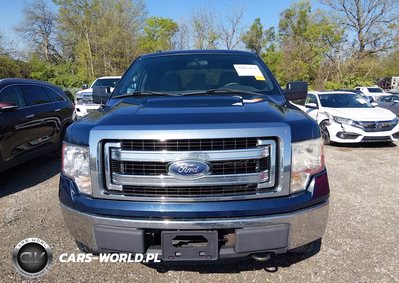 2013 Ford F-150 Xlt VIN:1FTVW1EFXDKF88961 - 12