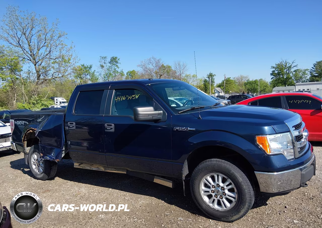 2013 Ford F-150 Xlt VIN:1FTVW1EFXDKF88961 - 13