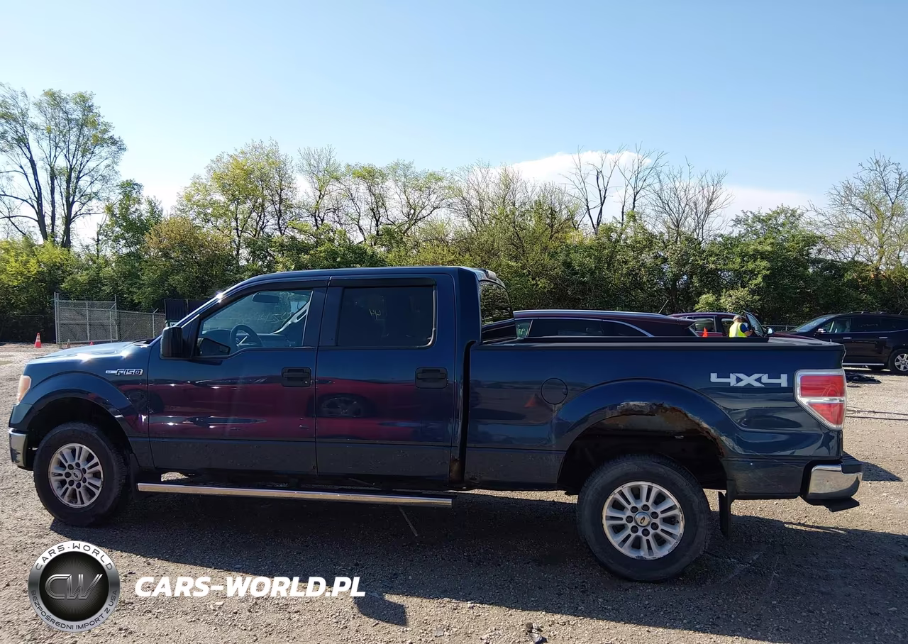 2013 Ford F-150 Xlt VIN:1FTVW1EFXDKF88961 - 14