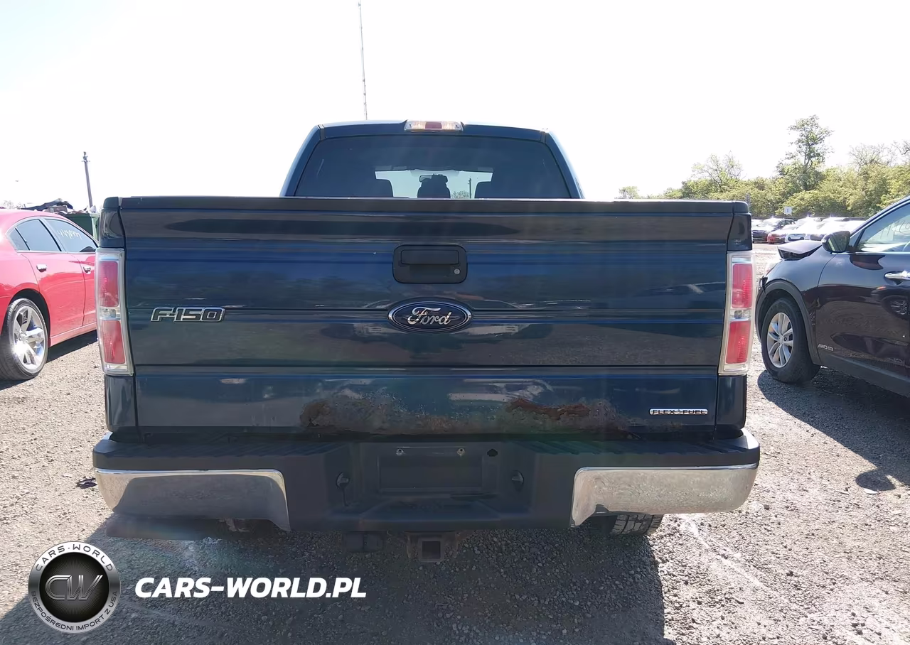 2013 Ford F-150 Xlt VIN:1FTVW1EFXDKF88961 - 16