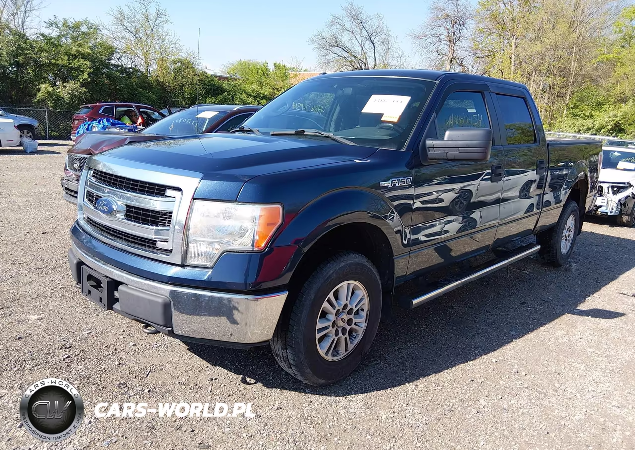 2013 Ford F-150 Xlt VIN:1FTVW1EFXDKF88961 - 2