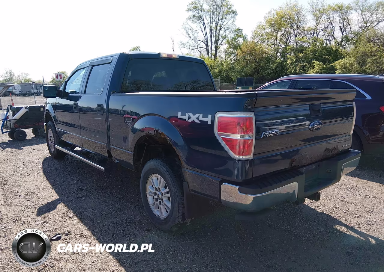 2013 Ford F-150 Xlt VIN:1FTVW1EFXDKF88961 - 3