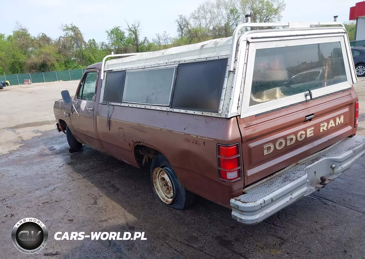 1984 Dodge D-Series D150 VIN:1B7FD14H2ES362377 - 3