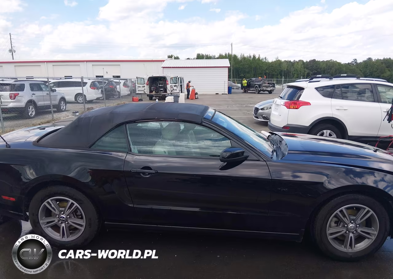 2013 Ford Mustang V6 Premium VIN:1ZVBP8EM1D5237164 - 13