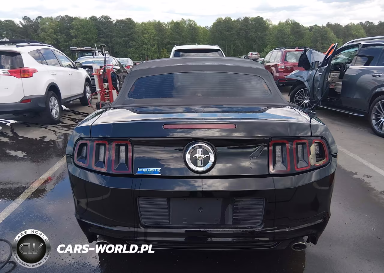 2013 Ford Mustang V6 Premium VIN:1ZVBP8EM1D5237164 - 16