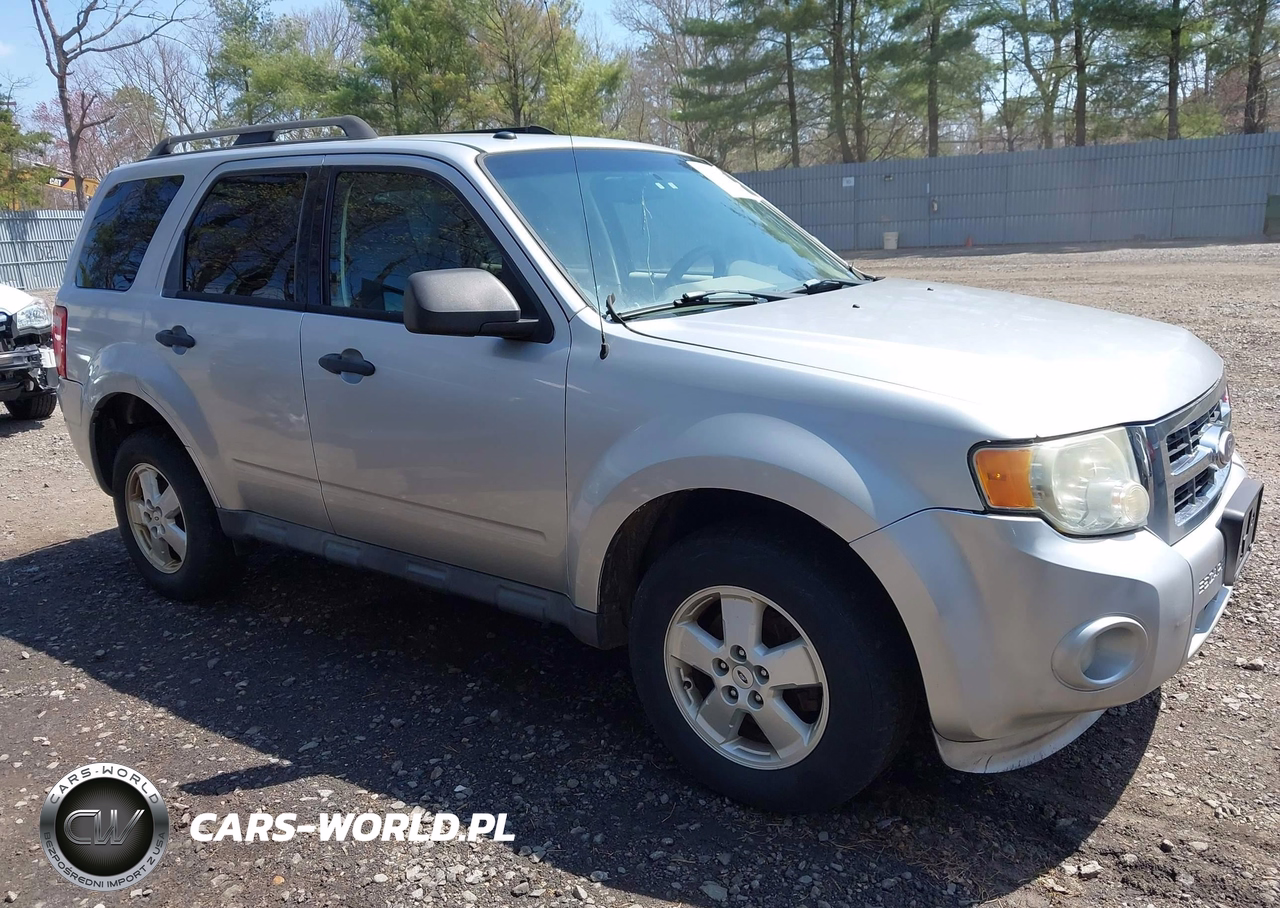 2010 Ford Escape Xlt