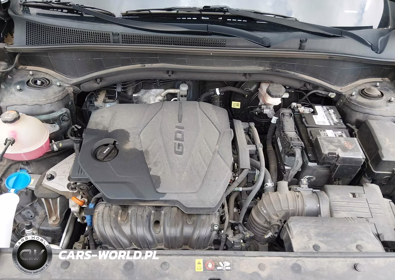 2022 Hyundai Santa Fe Xrt VIN:5NMS64AJ9NH380968 - 10