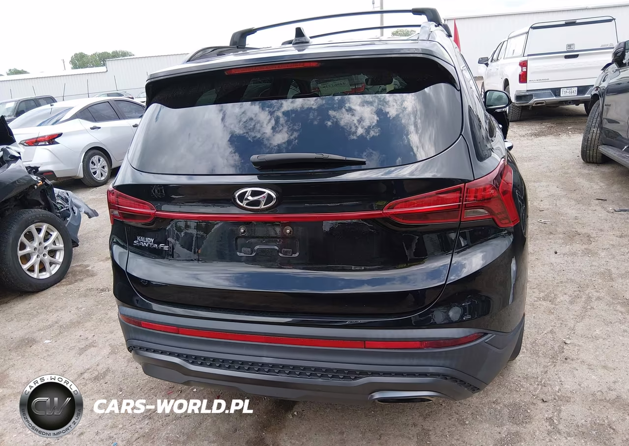2022 Hyundai Santa Fe Xrt VIN:5NMS64AJ9NH380968 - 16