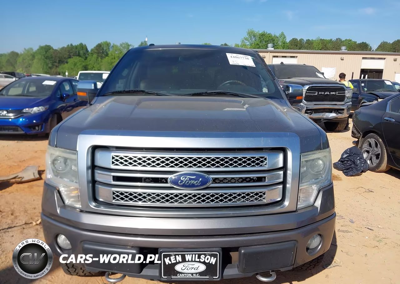 2013 Ford F-150 Platinum VIN:1FTFW1EF9DFA97665 - 12