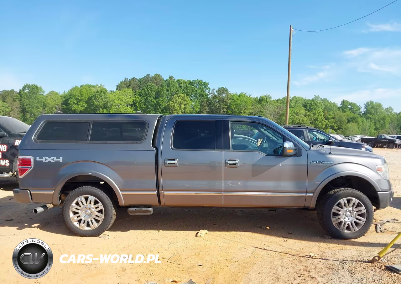 2013 Ford F-150 Platinum VIN:1FTFW1EF9DFA97665 - 13