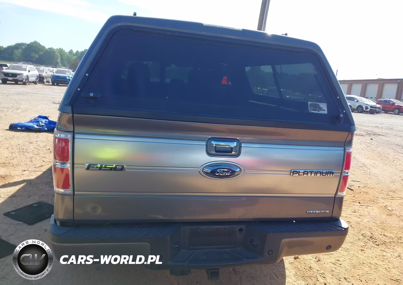2013 Ford F-150 Platinum VIN:1FTFW1EF9DFA97665 - 16