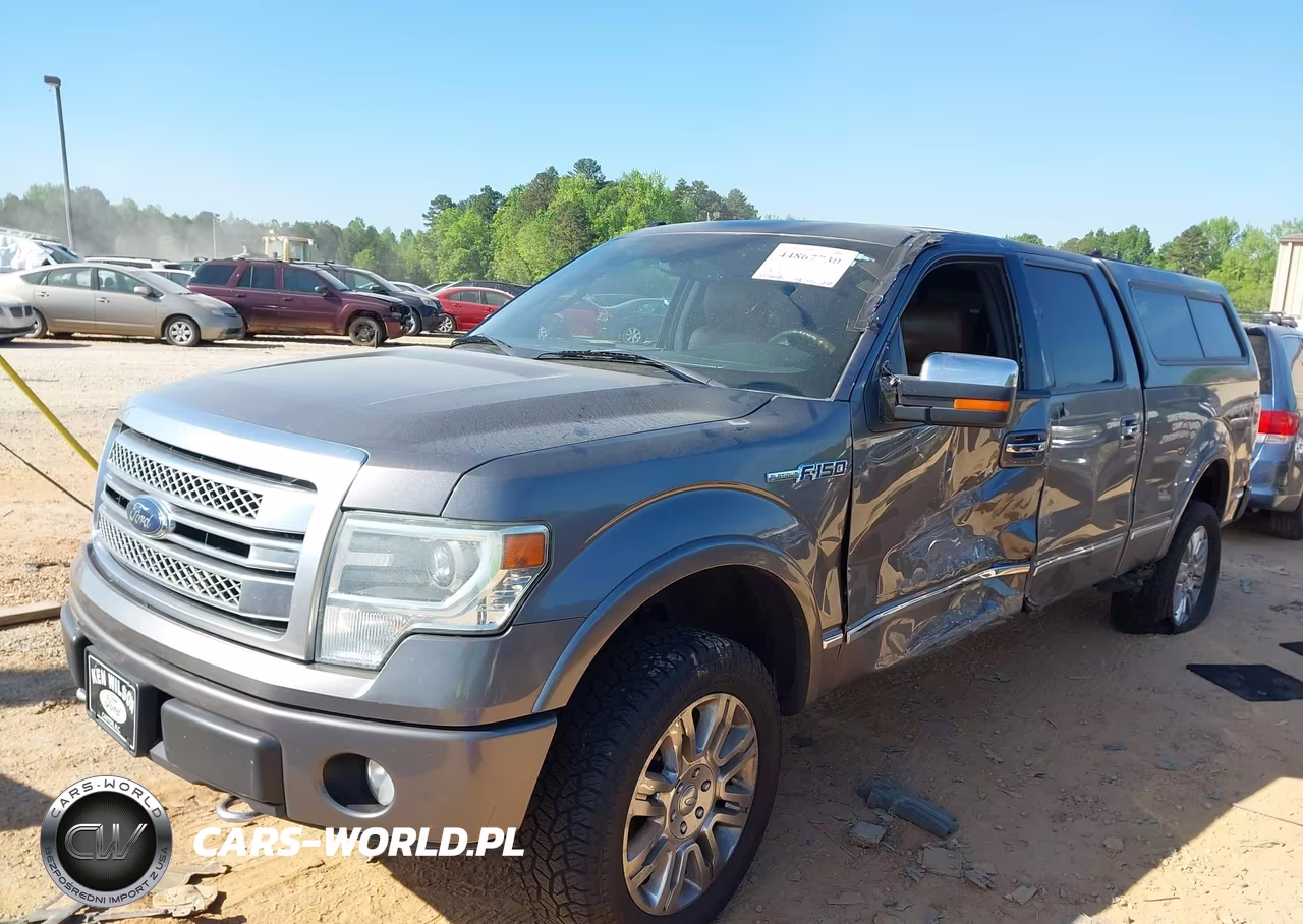 2013 Ford F-150 Platinum VIN:1FTFW1EF9DFA97665 - 2