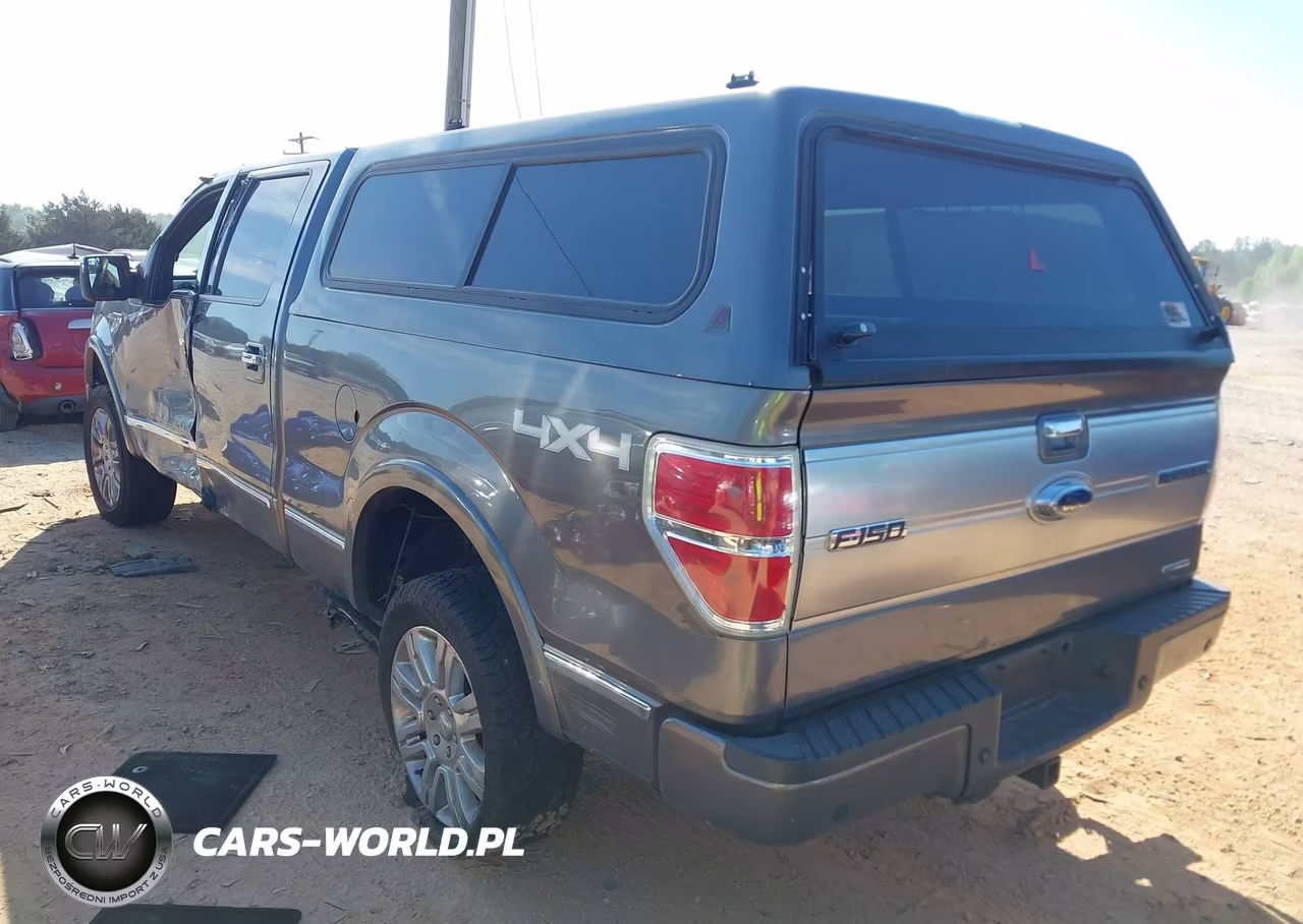 2013 Ford F-150 Platinum VIN:1FTFW1EF9DFA97665 - 3