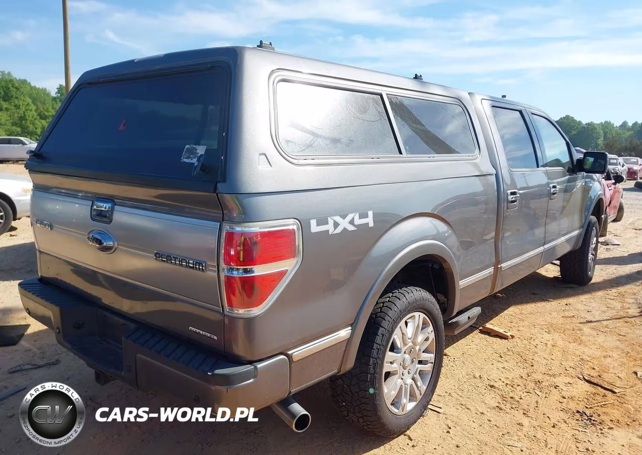 2013 Ford F-150 Platinum VIN:1FTFW1EF9DFA97665 - 4