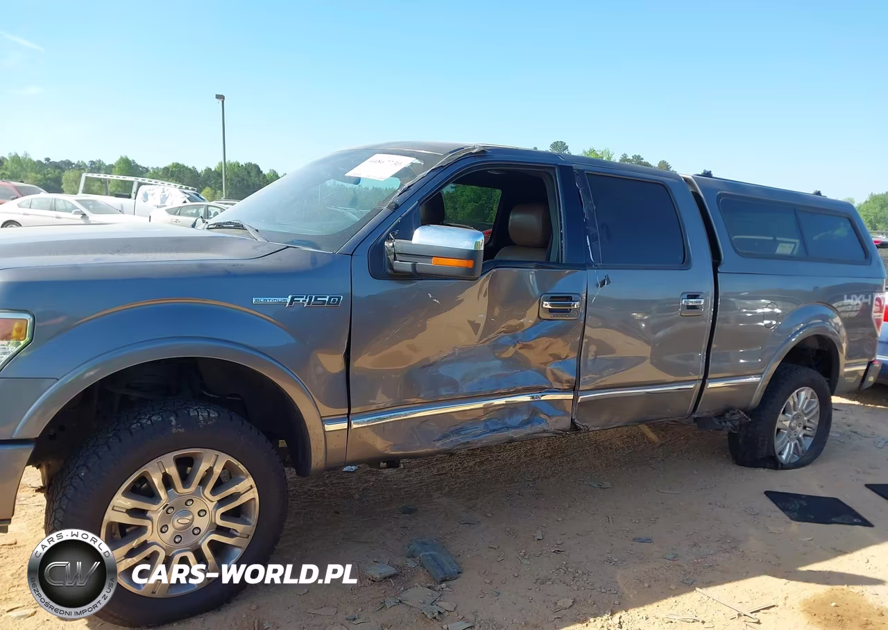 2013 Ford F-150 Platinum VIN:1FTFW1EF9DFA97665 - 6