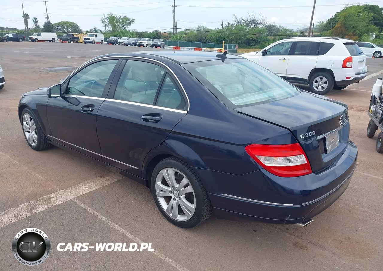 2010 Mercedes-Benz C 300 Luxury-Sport VIN:WDDGF5EB7AF368054 - 3