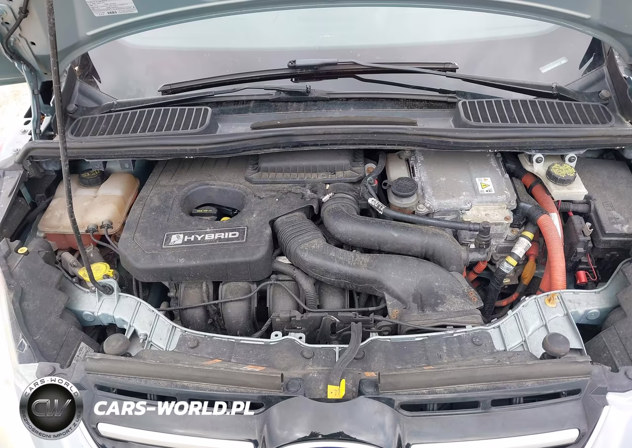 2013 Ford C-Max Hybrid Sel VIN:1FADP5BU2DL552121 - 10
