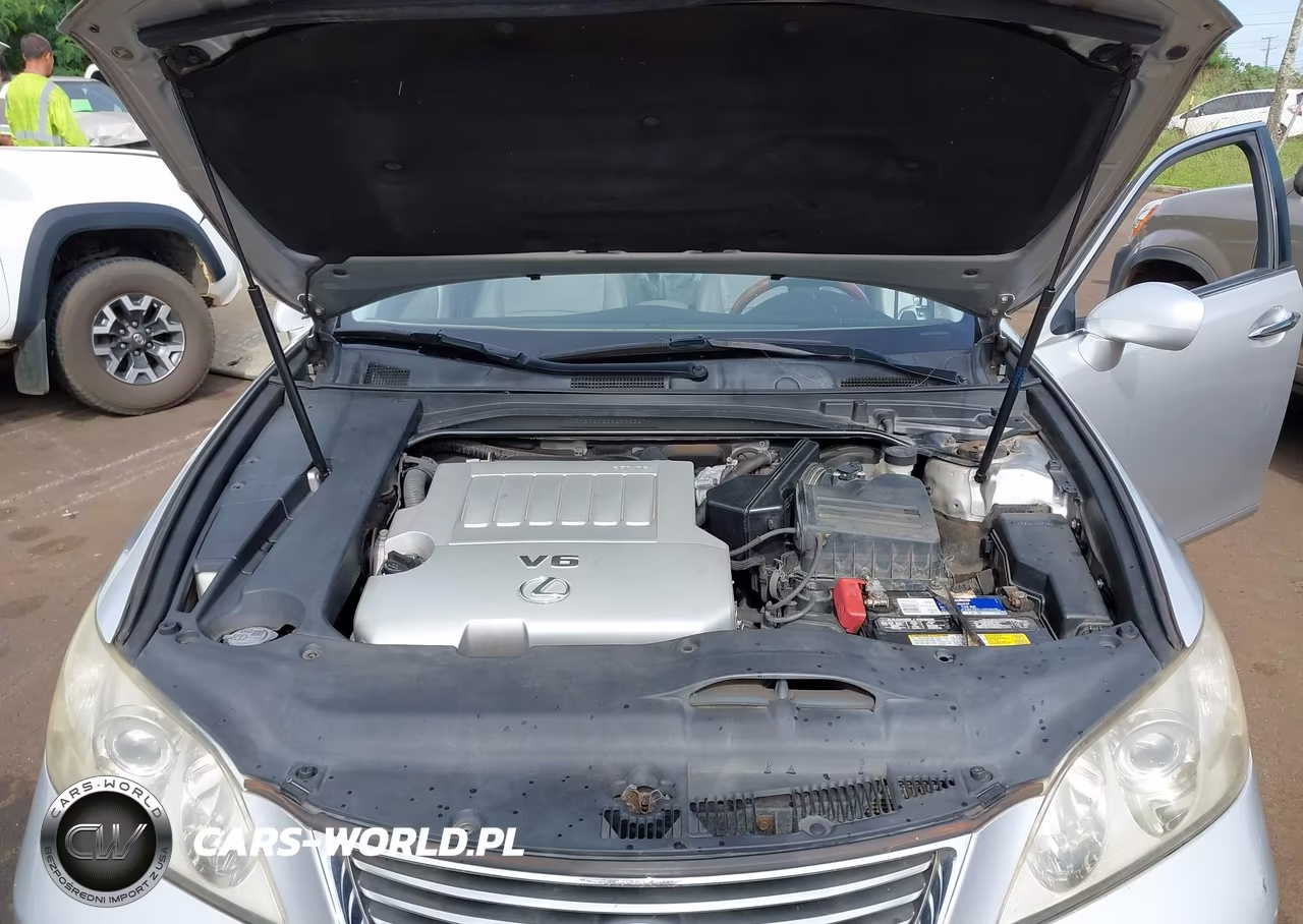2009 Lexus Es 350 VIN:JTHBJ46G392336257 - 10