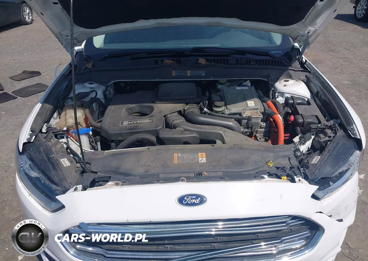 2014 Ford Fusion Hybrid Se VIN:3FA6P0LU9ER236194 - 10