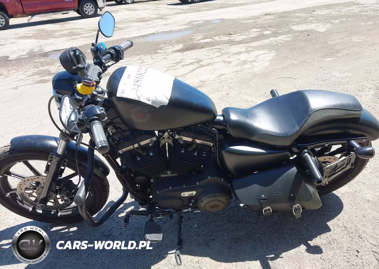 2022 Harley-Davidson Xl883 N VIN:1HD4LE222NB403234 - 12
