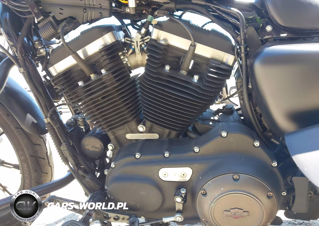 2022 Harley-Davidson Xl883 N VIN:1HD4LE222NB403234 - 9